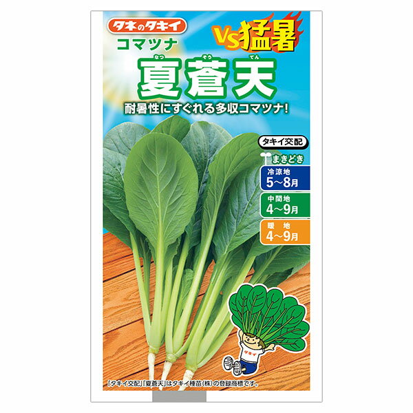 コマツナ：夏蒼天（ナツソウテン）[小松菜 タキイ 野菜タネ]