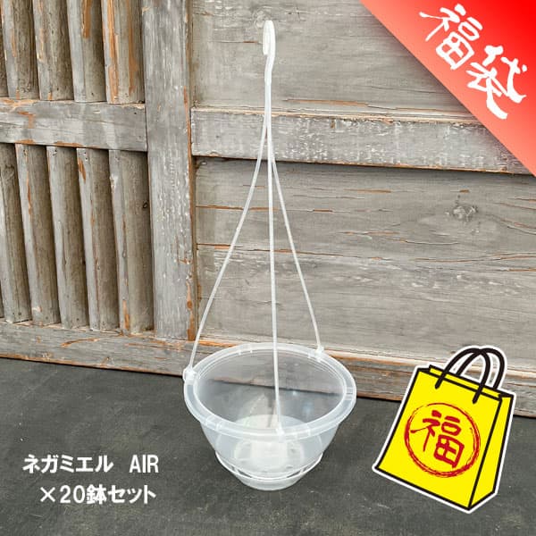 Rakuten - 吊り鉢（透明）：ネガミエル AIR（エアー） 5号吊り鉢 20個セット