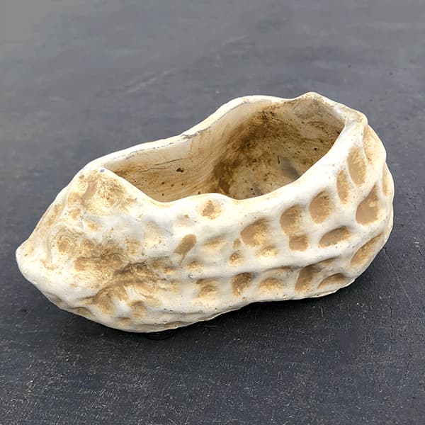 多肉植物の寄せ植え用鉢・ピーナッツ（幅12cm）