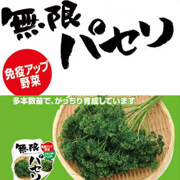 商品画像3