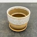 ファナ:薄緑S(直径10.8cm)・受け皿付