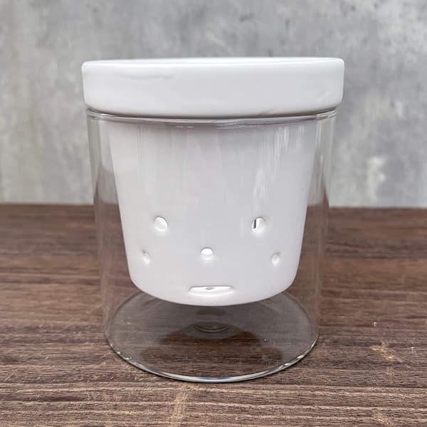 Rakuten - 根っこさん：ホワイト／Mサイズ ガラス花瓶セット（直径10.0cm、高さ11.0cm）