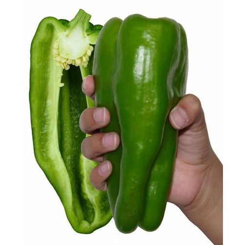 商品画像3