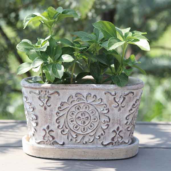 ランディ・オーバルポット L(QE-30))