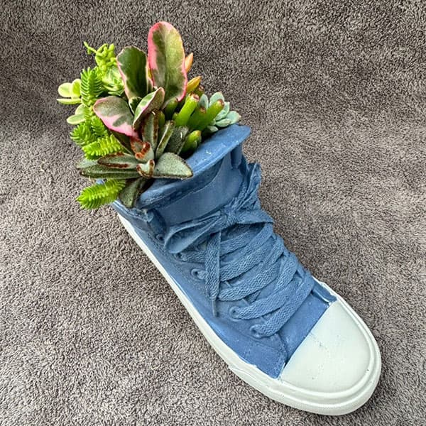 観葉植物/[送料無料]多肉寄せ植えシューズプランター青　幅24cm