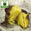 野菜の苗/サツマイモ苗:べにはるか(PVP)4連カット6パックセット(合計24株)