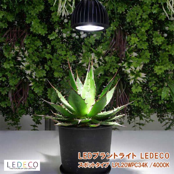 Rakuten - LEDプラントライト：レデコ LPL20WPC34K 植物育成用LED スポットタイプ