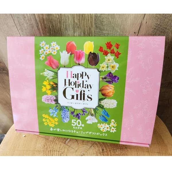球根/（わけあり特価）球根セット：球根ギフトボックス　約50球入り