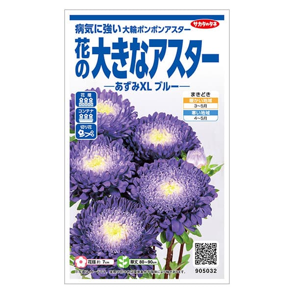 アスター：花の大きなアスター あずみXLブルー の種[春まき 花タネ]