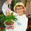 アンスリウム:リリー ネガミエルエアー×ねこチップ植え(サイン入り)6号吊り鉢*