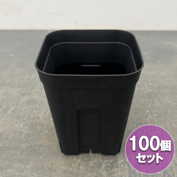 プレステラ120型 深鉢 ブラック 100個セット