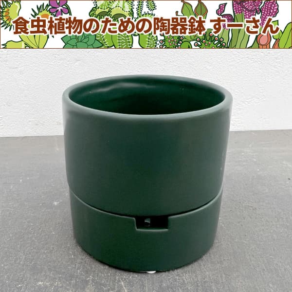 Rakuten - すーさん：ダークグリーン／Mサイズ 穴有皿付（直径10.5cm、高さ10.0cm）