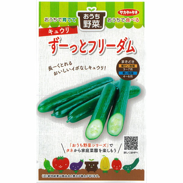 キュウリ：ずーっとフリーダム の種[サカタ 野菜タネ 「おうち野菜」シリーズ]