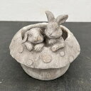 ソーニョポット:キノコウサギ/DF26GY(幅20cm、奥行20cm、高さ17cm)