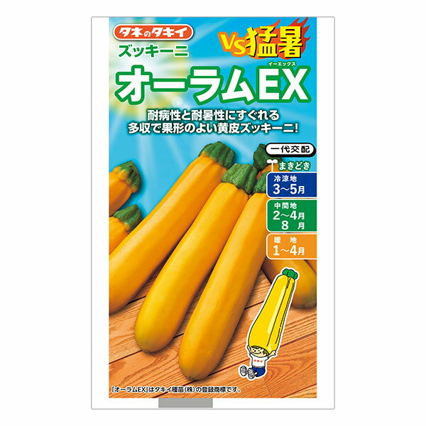ズッキーニ：オーラムEX[春まき タキイ 野菜タネ]