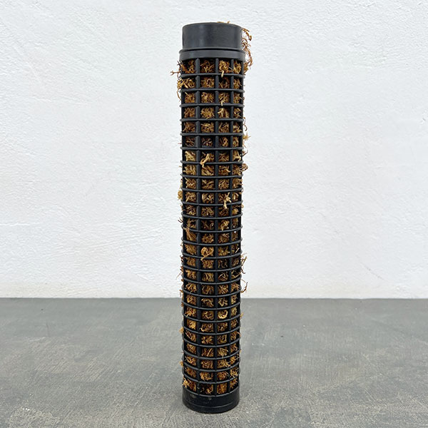 モスポール：黒（ミズゴケ付き）（長さ29cm） 5個セット