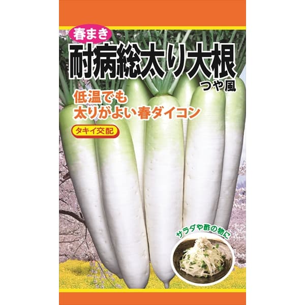 ダイコン：春まき耐病総太り大根（つや風） の種[野菜タネ]