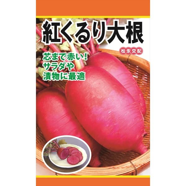 ダイコン：紅くるり大根 の種[野菜タネ]*