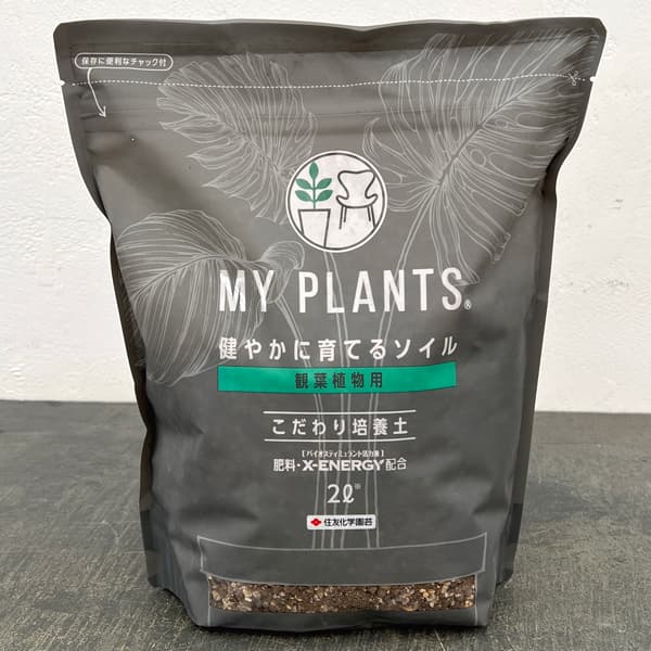培養土：MY PLANTS 健やかに育てるソイル観葉植物用 2リットル入り