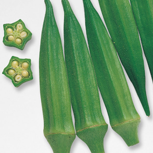 野菜の苗/[送料無料]オクラ：ベタ...
