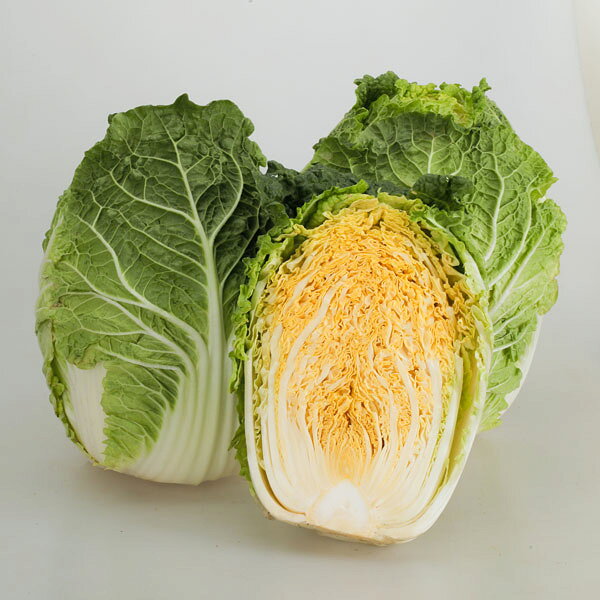 オレンジパワーの画像