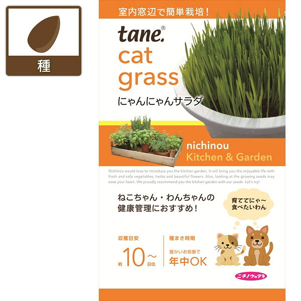 タネ・小袋 キッチン＆ガーデン キャットグラス ペットサラダ 種tane，にゃんにゃんサラダ（ネコ草） 2袋セット「ネコ草」はイネ科の植物の若い芽のこと。ネコちゃん・ワンちゃん専用のサラダで、胃腸の働きを整える効果があります。こちらは無消毒のエン麦を使用しています。まき時周年収　穫周年内容量約40mltane，にゃんにゃんサラダ（ネコ草） 2袋セットの栽培ガイド種まきの方法：容器の選び方種まきの方法：色々なタネはじめよう 窓辺で簡単 「キッチン＆ガーデン」シリーズ