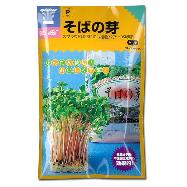 タネ・小袋 蕎麦 種 タネモヤシの種（スプラウト栽培用）：そばの芽 2袋セット[タネ]スプラウト（かいわれそば）栽培用として利用する栄養価の高いそばの種です。そば粉としてもご利用いただけます。スプラウトとしての栽培は1年中可能で、7〜10日ほどで、サラダなどでおいしく召し上がって頂けます。畑でそばを栽培する場合は、7月下旬〜9月上旬頃に種まきをしてください。まき時：通年発芽適温：20〜25度収穫期：種まきから1週間〜10日後　種数：30ml用途：サラダなど種まき：容器の底にスポンジやキッチンペーパーなどを敷き、しっかり濡れるまで水を入れ、その上に種子が重ならないようにまきます。暗い場所に置き、種がしっとり濡れるまで霧吹きなどで水を与えます。根が張れば、直接容器に水を注ぎ、毎日取り替えます。育て方：5〜6cm程度に伸びたら、日当りのよい窓際などに置き、日光を当てて緑化させます。緑化させると栄養価もアップします。1週間から10日ほどで収穫できます。モヤシの種（スプラウト栽培用）：そばの芽 2袋セット[タネ]の栽培ガイドスプラウト（もやし）栽培梅雨時、暑い季節のもやし（スプラウト）管理法種まきの方法：容器の選び方そばの栽培方法と利用方法種まきの方法：色々なタネ