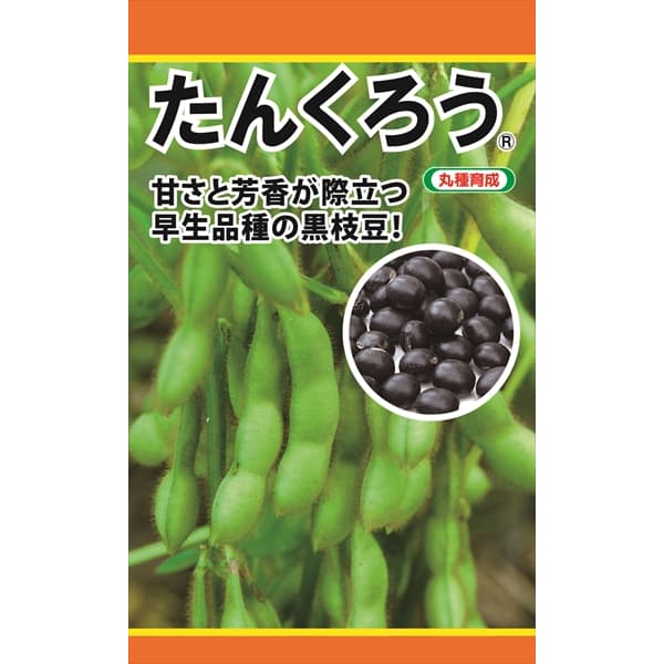 エダマメ：たんくろう の種[甘さと香り際立つ黒枝豆 野菜タネ]