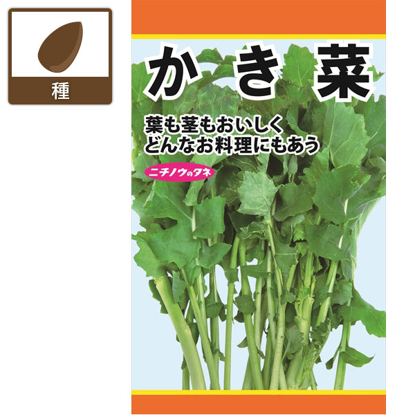 タネ・小袋 葉も茎もおいしい 野菜の種かき菜 の種「かき菜」は開花前のつぼみ菜を食べる野菜です。甘みがあり、わき芽を「かいて」食べることからかき菜と呼ばれます。クセがなく、どんな料理にも合わせやすいです。まき時（冷涼地）8月-9月　（暖地）10月収　穫（冷涼地）翌年4月-5月　（暖地）翌年2月-3月内容量約12mlかき菜 の種の栽培ガイド種まきの方法：容器の選び方種まきの方法：色々なタネ