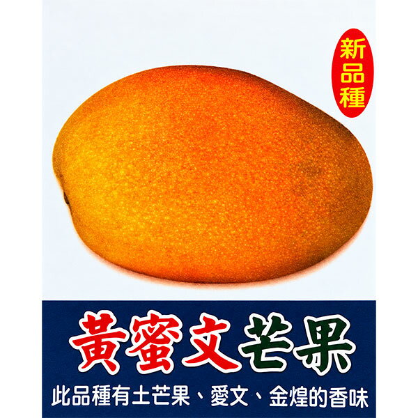 楽天市場】金 蜜 マンゴー（ガーデニング・農業｜花・ガーデン・DIY