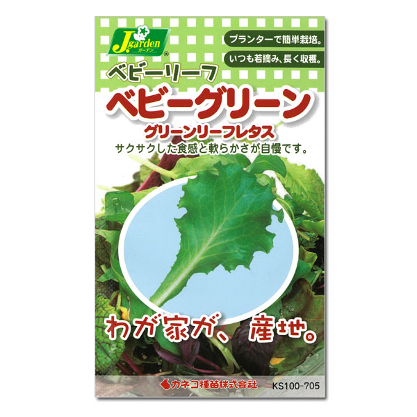 ベビーリーフの種：ベビーグリーン グリーンリーフレタス（グリーンスパン） 4袋セット[タネ]