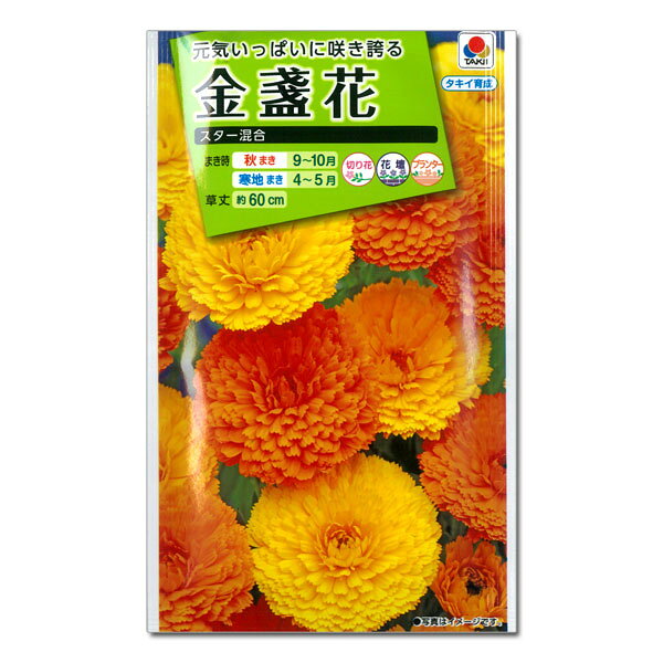 キンセンカ（金盞花）：スター 混合 2袋セット[秋・春まき 草丈60cm 切花に タキイ 花タネ]
