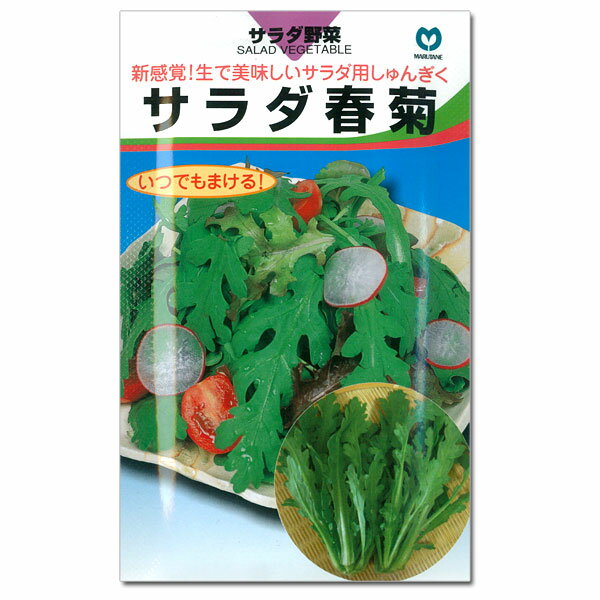 楽天市場】サラダ春菊 種の通販