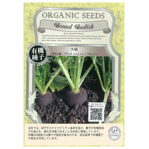 野菜の種：有機種子 大根（ブラックスパニッシュラウンド 黒丸大根） 2袋セット[ダイコンのタネ]