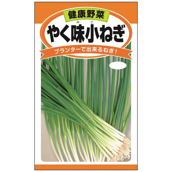 タネ・小袋 種 タネネギ：やく味小ネギ 2袋セット[プランター栽培可能 辛味が少ない葉ネギ 野菜タネ]周年栽培可能な葉ねぎで緑葉部分が大半を占めます。薬味や料理の彩りに最適で、辛味が少ないのが特徴です。冷涼地4〜5月・8〜9月まき/6〜7月・10〜12月収穫暖地4月・8〜9月まき/6月・10〜2月収穫内容量 7ml（約1370粒）ネギ：やく味小ネギ 2袋セット[プランター栽培可能 辛味が少ない葉ネギ 野菜タネ]の栽培ガイド春から始める、ベランダ菜園種まきの方法：容器の選び方種まきの方法：色々なタネ