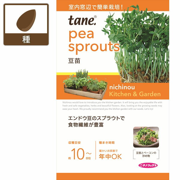 tane，豆苗