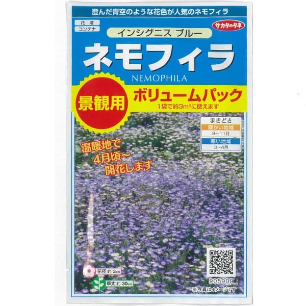 タネ・小袋 青空の花色が人気の1年草 種 タネネモフィラ：インシグニスブルー 景観用ボリュームパック約3平米分 2袋セット[秋まき・春まき 寒地3〜4月、暖地9〜10月まき 花タネ]澄み切った空色が美しいネモフィラです。株張り約30cm、横に広がる草姿で、花壇だけでなくコンテナや吊り鉢にも最適。カーペット状に広がるので、石垣の間などに植えるのも似合います。地温20度以上では性質上全く発芽しません。必ず15度前後で種まきしてください。タイプ：耐寒性1年草 まき時：寒地3〜4月、暖地9〜11月発芽適温：15〜20℃生育適温：10〜20℃開花期：寒地6〜7月、暖地3〜5月草丈：30cm花径：3cm用途：花壇、鉢植え日照：日なたを好む容量：2gネモフィラ：インシグニスブルー 景観用ボリュームパック約3平米分 2袋セット[秋まき・春まき 寒地3〜4月、暖地9〜10月まき 花タネ]の栽培ガイドネモフィラ種まきの方法：容器の選び方種まきの方法：色々なタネ