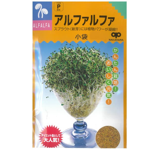 タネ・小袋 種 タネモヤシの種（スプラウト栽培用）：アルファルファ[タネ 通年まき]* 2袋セット欧米で牧草、緑肥作物として古くから利用されていたムラサキウマゴヤシという牧草のスプラウトで、糸のように細くて柔らかいことから糸もやしとも呼ばれます。栄養豊富で、シャリッとした歯触りが特徴。まき時：通年発芽適温：20-25度収穫期：種まきから1週間-10日後　種数：25ml用途：サラダなど種まき：容器の底にスポンジやキッチンペーパーなどを敷き、しっかり濡れるまで水を入れ、その上に種子が重ならないようにまきます。暗い場所に置き、種がしっとり濡れるまで霧吹きなどで水を与えます。根が張れば、直接容器に水を注ぎ、毎日取り替えます。育て方：5〜6cm程度に伸びたら、日当りのよい窓際などに置き、日光を当てて緑化させます。緑化させると栄養価もアップします。1週間から10日ほどで収穫できます。モヤシの種（スプラウト栽培用）：アルファルファ[タネ 通年まき]* 2袋セットの栽培ガイドスプラウト（もやし）栽培梅雨時、暑い季節のもやし（スプラウト）管理法種まきの方法：容器の選び方種まきの方法：色々なタネ