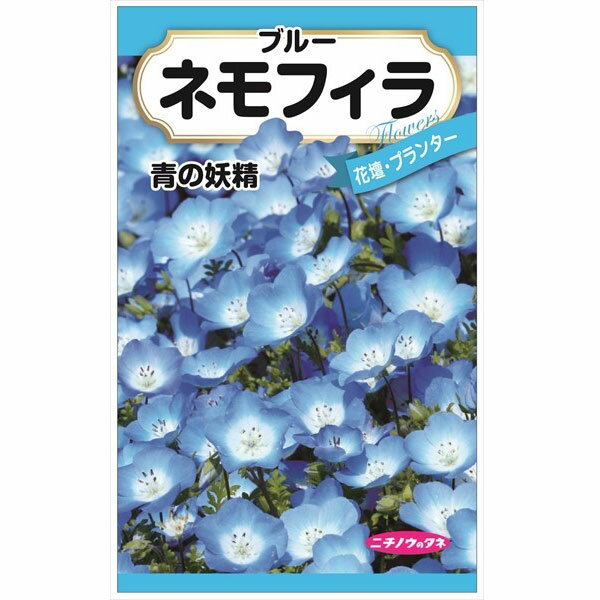 ネモフィラの種 2袋セット[花タネ]