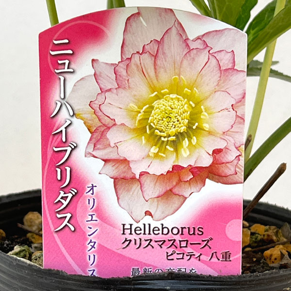 商品画像1