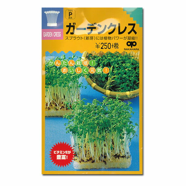 モヤシの種（スプラウト栽培用）：ガーデンクレス（胡椒草） 2袋セット[タネ]