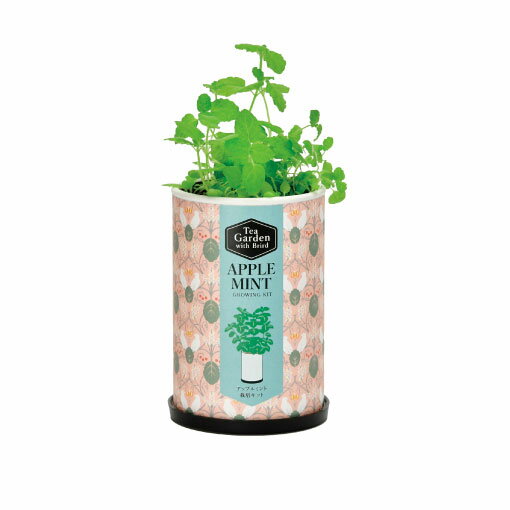 ティーガーデン：アップルミント