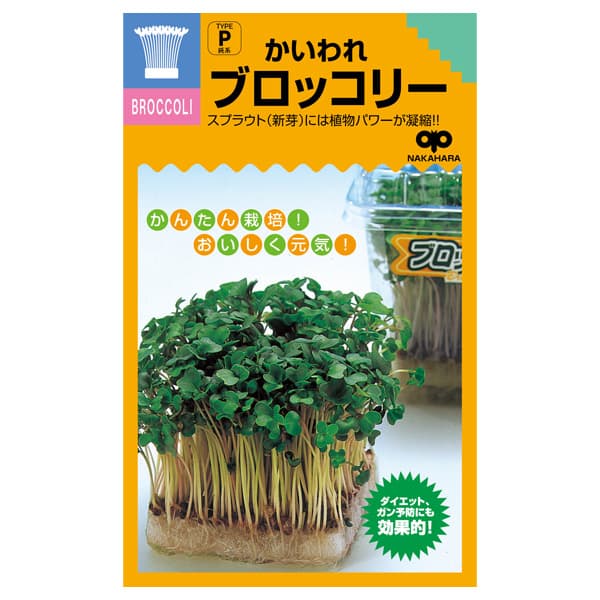 モヤシの種（スプラウト栽培用）：かいわれブロッコリー 2袋セット[タネ]