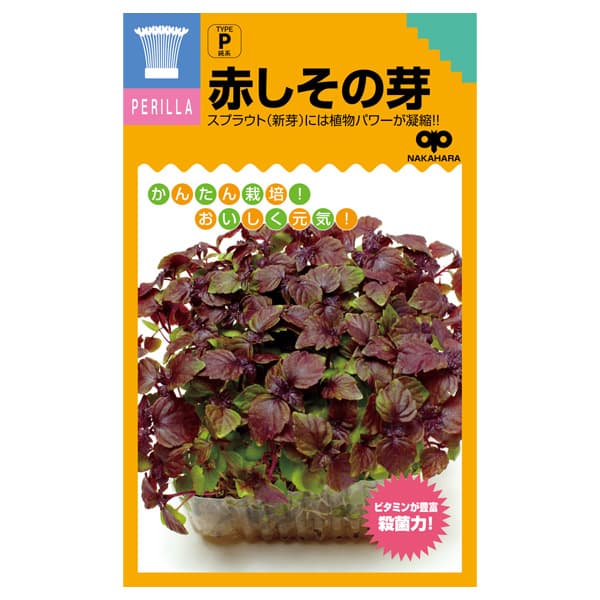 モヤシの種（スプラウト栽培用）：赤しその芽 2袋セット[タネ]