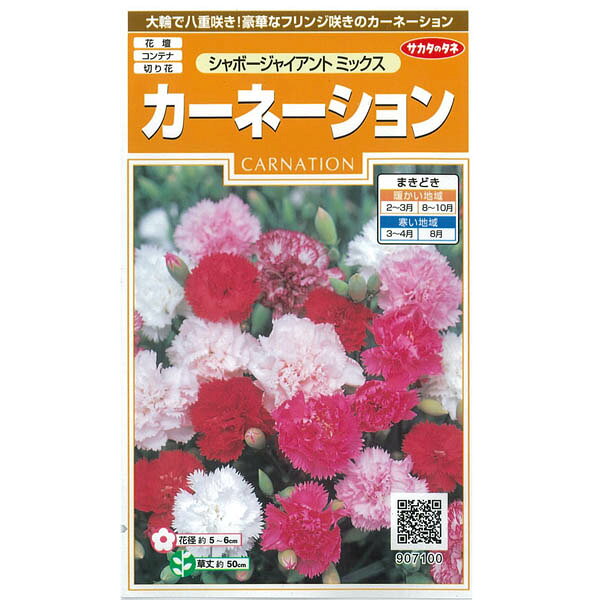 タネ・小袋 切花に！春、夏、秋まき 種 タネカーネーション：シャポージャイアントミックスの種 3袋セット[花タネ]世界的に知られた名花で種から育てられるカーネーションです。花径約5〜6cmの大輪種。花型の整った八重咲きで、草丈約50cmにも伸び、耐寒性も強く、花壇やプランターで栽培して切り花に利用出来ます。まき時：2〜4月、8〜10月まき開花期：5〜8月（まき時期によって変わってきます）発芽適温：20℃前後内容量：0.3ml（この袋でできる苗の本数：約40本）草丈：50cmカーネーション：シャポージャイアントミックスの種 3袋セット[花タネ]の栽培ガイド初めての種まき手作りのシード・テープ種まきの方法：容器の選び方種まきの方法：色々なタネ