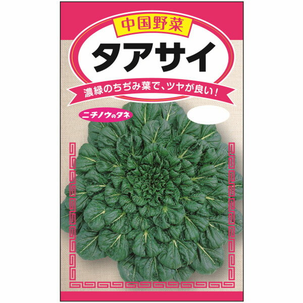 タアサイ 3袋セット[中国野菜 肉厚のちぢみ葉 野菜タ