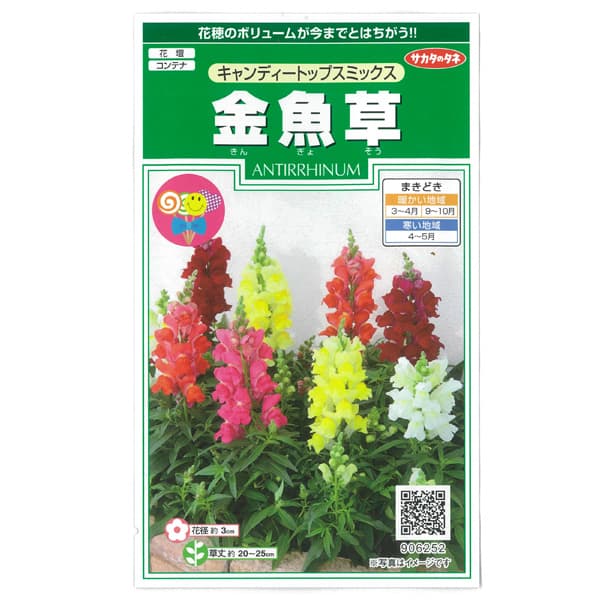 キンギョソウ（金魚草）：キャンディートップス ミックスの種 2袋セット[サカタ 花タネ]