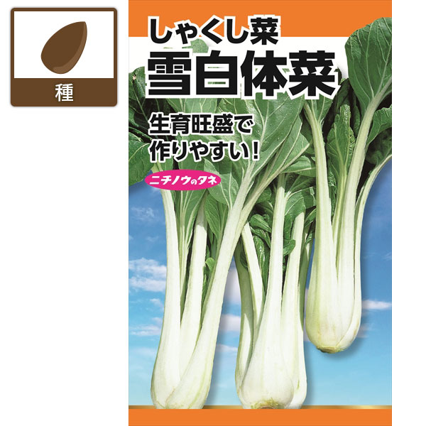 タネ・小袋 生育旺盛で栽培簡単 野菜の種しゃくし菜：雪白体菜(せっぱくたいさい) の種 2袋セット「雪白体菜(しゃくし菜)」は葉が柔らかく、寒さに強い野菜です。主に漬物や煮物に利用されています。つまみ葉としても利用可能です。まき時（冷涼地）4月下旬-9月初旬　（暖地）9月-10月収　穫（冷涼地）6月下旬-11月初旬　（暖地）10月下旬-翌年1月内容量約16mlしゃくし菜：雪白体菜(せっぱくたいさい) の種 2袋セットの栽培ガイド種まきの方法：容器の選び方種まきの方法：色々なタネ