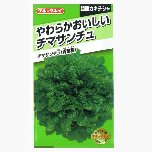 タネ・小袋 焼肉レタス 3〜10月まき 種 タネチマサンチュ（韓国カキチシャ）：青葉種[タキイ 野菜タネ]* 2袋セットチマサンチュは葉色は極濃緑で、色鮮やかな作りやすいカキチシャ青葉種です。葉質はしなやかで葉面に縮みがあり、焼肉などを包んで食べるのに最適です。耐暑性、耐寒性に優れており、草勢旺盛で栽培しやすい品種です。ウェーブのある濃緑の葉を長期間収穫出来ます。まき時：暖地3月下旬〜10月中旬、中間地4月上旬〜10月上旬、冷涼地5月上旬〜9月上旬収穫：5月〜1月内容量：0.5ml（約170粒）栽培：トロ箱などに床土と川砂を半々に入れて種をまき、涼しいところにおいておきます。1cm間隔に間引き後、本葉2〜3枚でポリ鉢か仮植床に10cm間隔で移植し、本葉5〜6枚苗に育てます。定植には、1平米当たり石灰2握りをまいて耕起しておき、元肥として化成肥料2握りを施して土と混ぜ、幅1mの畝を作り、株間30cmで2条に植えます。追肥は化成肥料1握りを15日ごとに施します。※気温30℃以上の時はタネを一昼夜水に浸して、冷蔵庫で芽出しをしてからまきます。［タネまき・定植］ポットかセルトレイにタネをまきます。レタス類の種子は好光性のため、覆土は薄めとし、ムラがないように均一に潅水を行います。発芽するまでタネが十分吸水できるよう潅水を行い、乾燥には注意し、発芽をそろえます。本葉3〜4枚の苗を定植します。［その後の管理］元肥主体で初期生育を旺盛に進めます。土壌の適湿を保ち、生育を促します。［収穫］葉の長さが15cmほどに伸びたら、下部の葉から収穫します。★種袋のデザインが変わる場合があります。チマサンチュ（韓国カキチシャ）：青葉種[タキイ 野菜タネ]* 2袋セットの栽培ガイド種まきの方法：容器の選び方マルチシートのタイプと張り方（野菜の栽培用）種まきの方法：色々なタネ