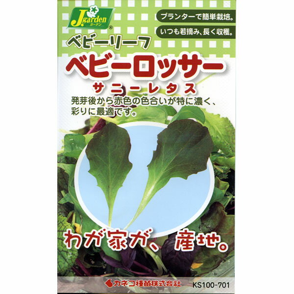 ベビーリーフの種：ベビーロッサー サニーレタス [周年まき可能 タネ]